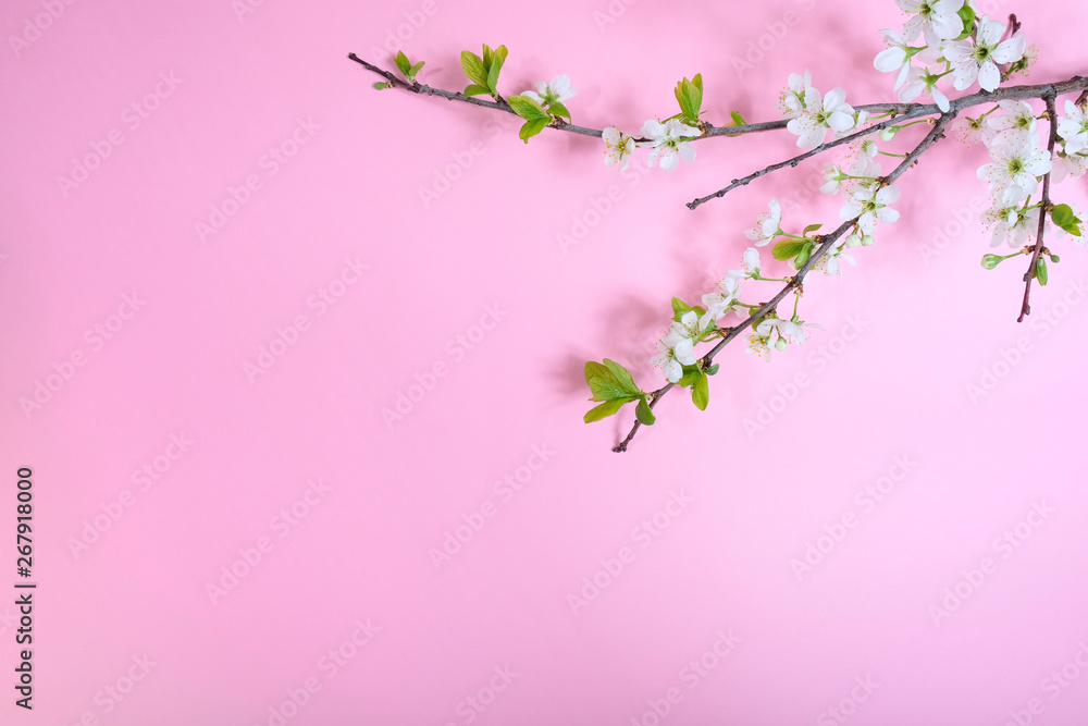 Inscription blooming on a pink background with a flowering branch