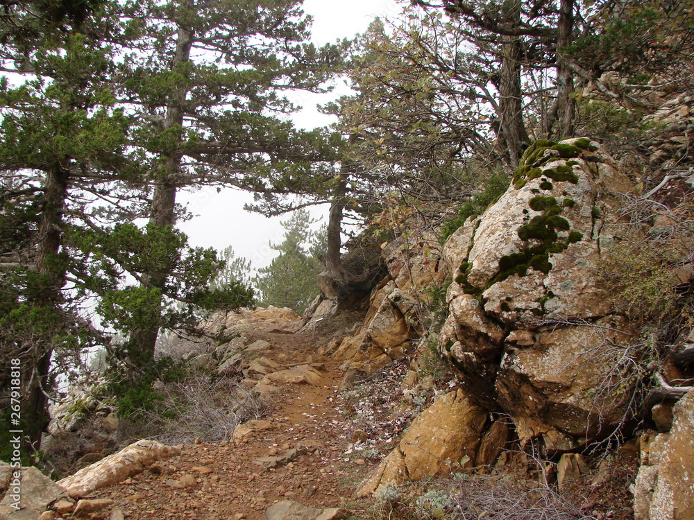The landscape of the stone path on the rocky slope of the mountain near the abyss, which serpentine clings to the cloud covering the mountain forest.