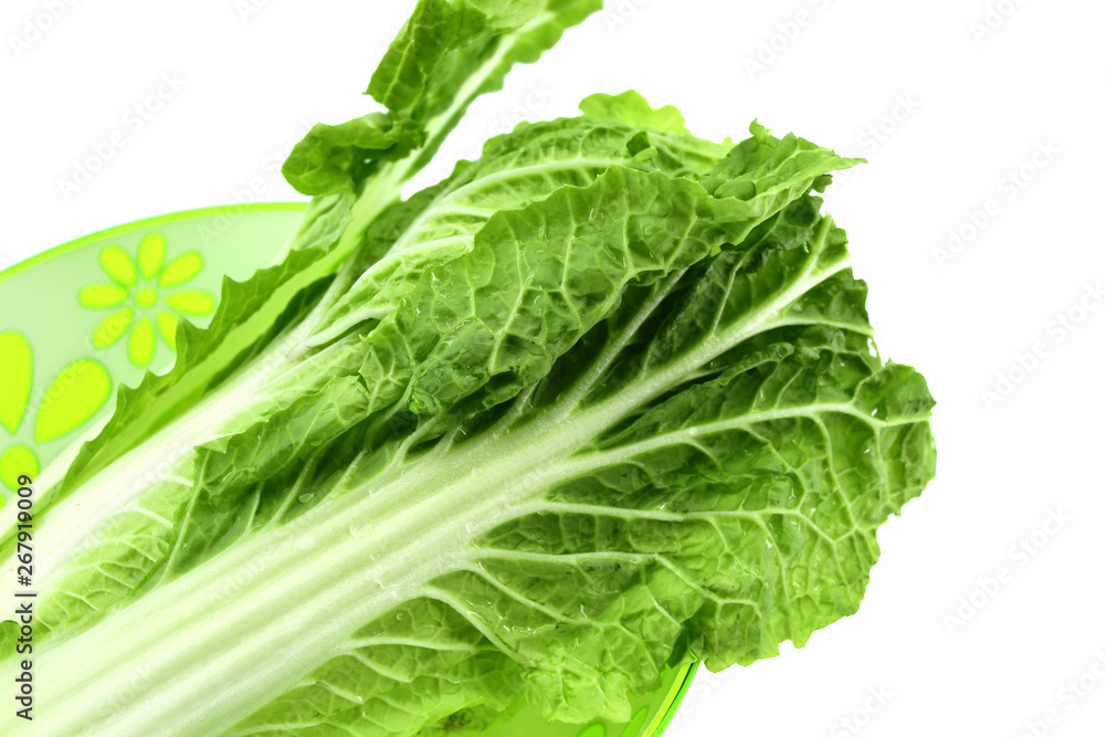 Chinese cabbage leaves clean and fresh on a plate Chinese cabbage leaves clean and fresh on a plate