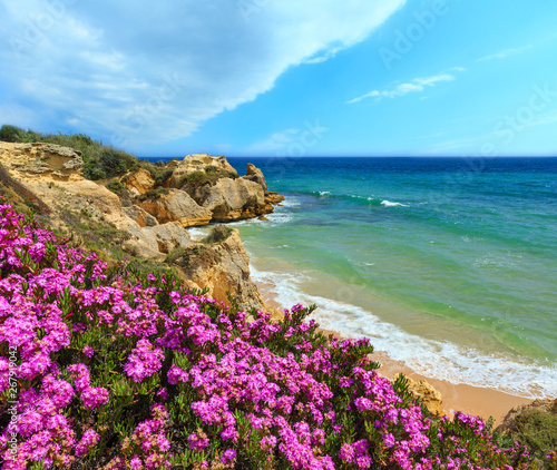 Atlantic blossoming coast view (Algarve, Portugal).