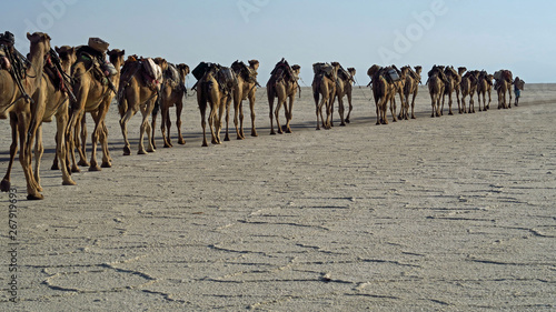 Danakil Desert Ethiopia