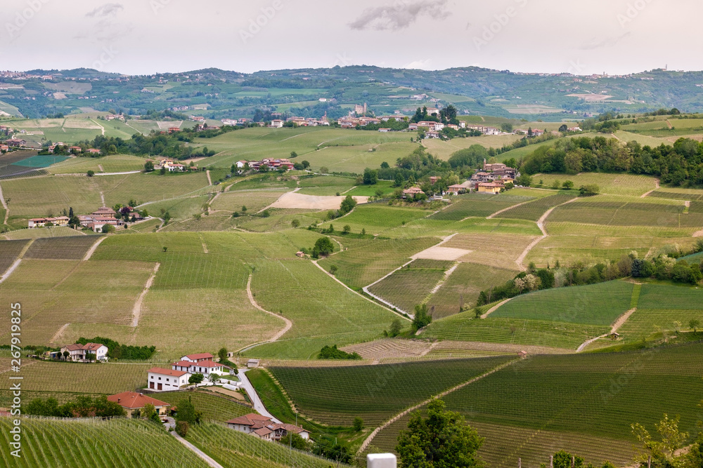 Langhe hills vineyards landscape. Viticulture in Barolo, Piedmont, Italy, Unesco heritage. Barolo, Nebbiolo, Dolcetto, Barbaresco red wine.