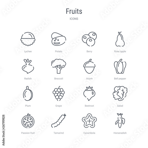 set of 16 fruits concept vector line icons such as horseradish, carambola, tamarind, passion fruit, salad, beetroot, grape, plum. 64x64 thin stroke icons