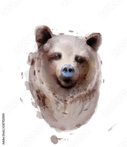 Bear Vector watercolor isolated on white. Wildlife animals