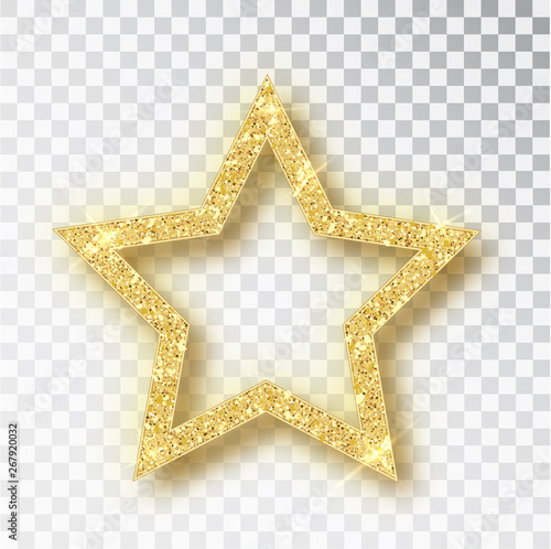 Gold glitter vector star. Golden sparkle luxury design element. Vector particles.