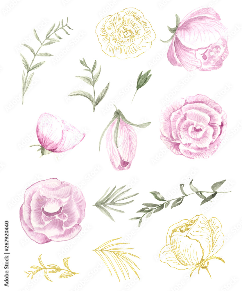  set of watercolor flowers, pink roses, golden contours of roses, tender greens