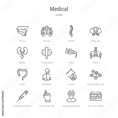set of 16 medical concept vector line icons such as heart rate monitor, hospital placeholder, hurted finger with bandage, syringe with medicine, three hexagons cell, canine, esophagus, colon. 64x64