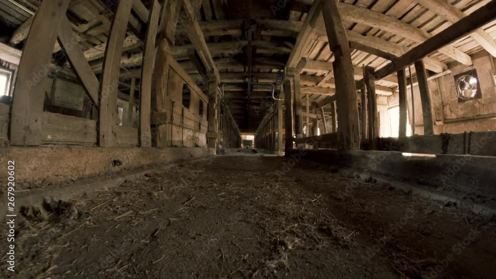 Creepy Animal Stables Wide Angle Creepy Animal Stables Wide Angle