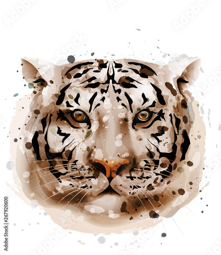 Tiger vector watercolor. Wildlife animal front view illustrations