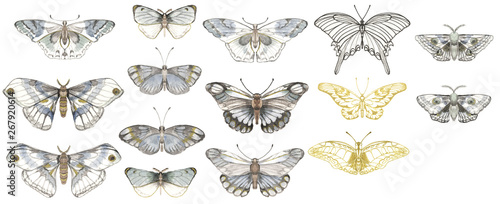  Set of watercolor butterflies on a white background, mystical butterflies