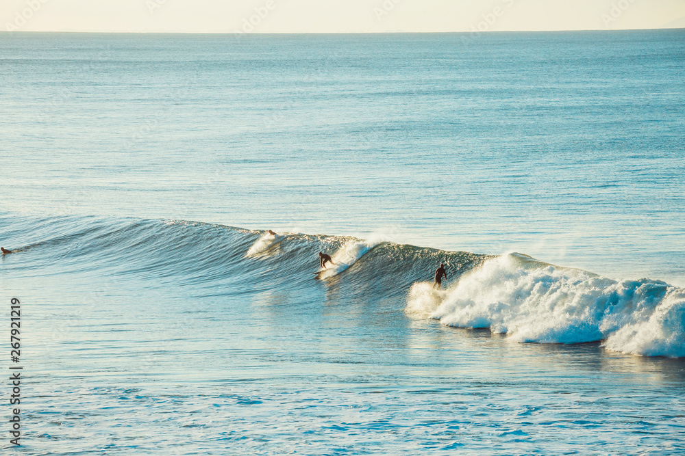 Naklejka premium Surfers and Waves at Bells Beach, Australia