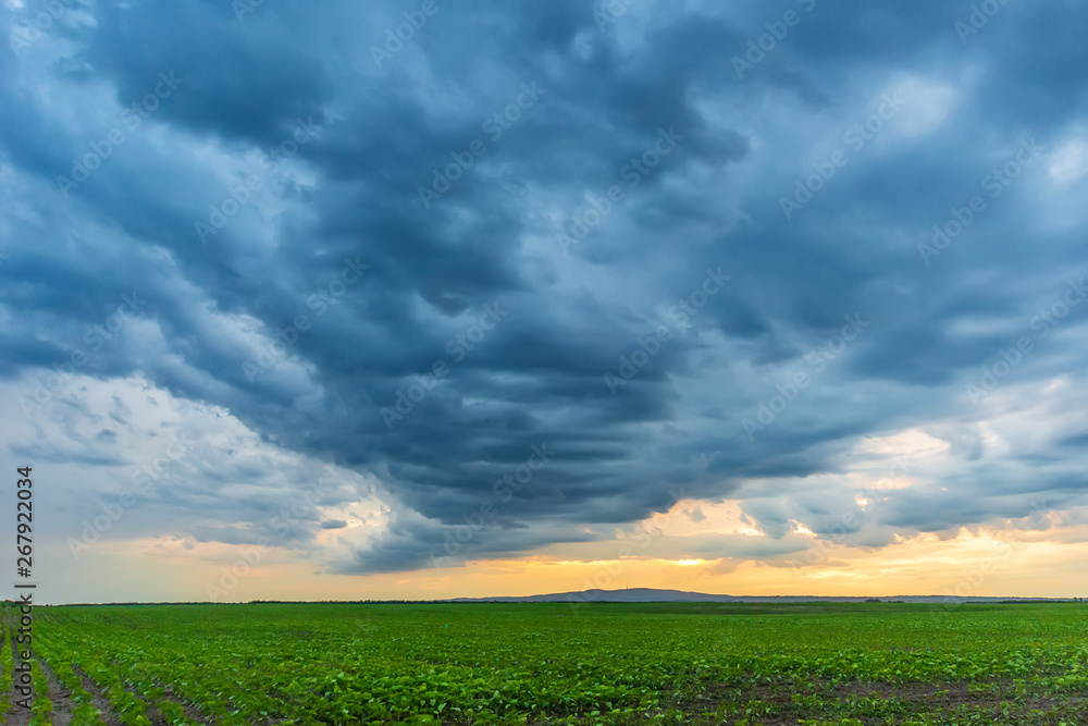 Storm over the fields. Dark storm clouds over a Fruska Gora, Serbia.