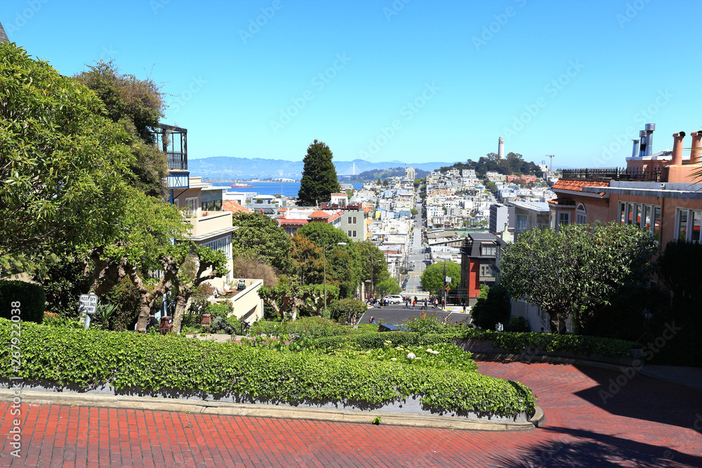 Obraz premium The streets of San Francisco: Looking down the famously crooked Lombard Street towards Telegraph hill.