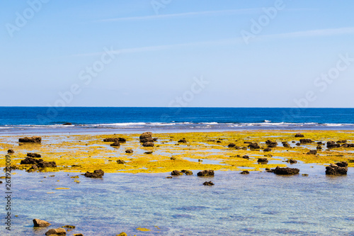 奄美大島の海 鹿児島県奄美市笠利町 photo