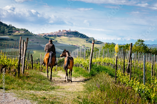 Man on a horse rides among beatiful Barolo vineyards with La Morra village. Trekking pathway. Viticulture, Langhe, Piedmont, Italy, Unesco heritage. Barolo, Dolcetto, Barbaresco wine.