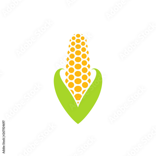 Ear of corn. Logo. Yellow corn on white background