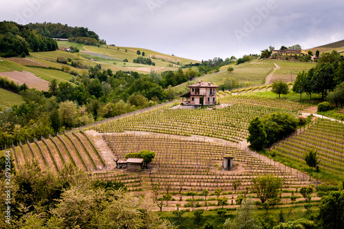 Barolo Langhe vineyards hills. Springtime landscape, Nebbiolo, Dolcetto, Barbaresco red wine. Viticulture in Piedmont, Italy, Unesco heritage photo