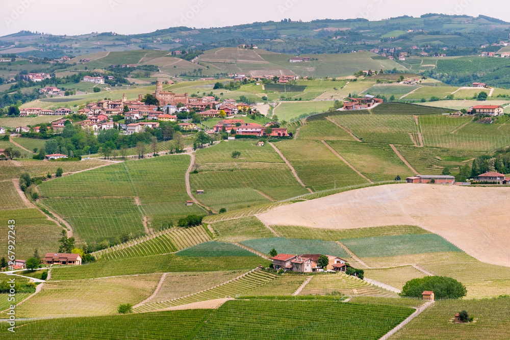 Langhe hills vineyards landscape, small villages. Viticulture in Barolo, Piedmont, Italy, Unesco heritage. Barolo, Nebbiolo, Dolcetto, Barbaresco red wine.