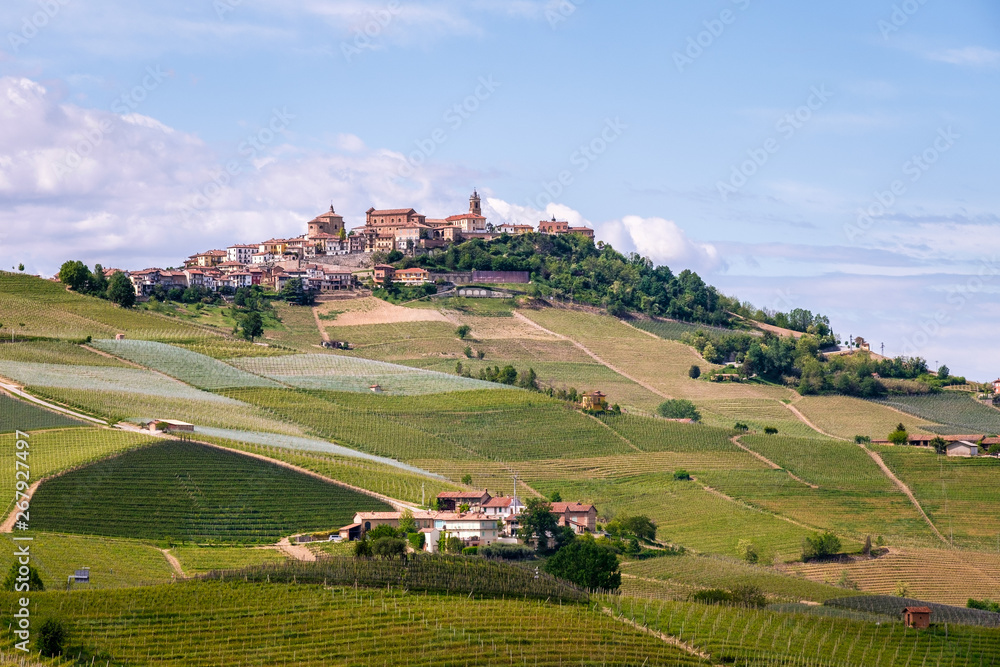 La Morra vineyards hills. Langhe, Piedmont, Italy, , Unesco heritage. Viticulture, Langhe, Piedmont, Italy, Unesco heritage. Barolo, Nebbiolo, Dolcetto, Barcaresco red wine.