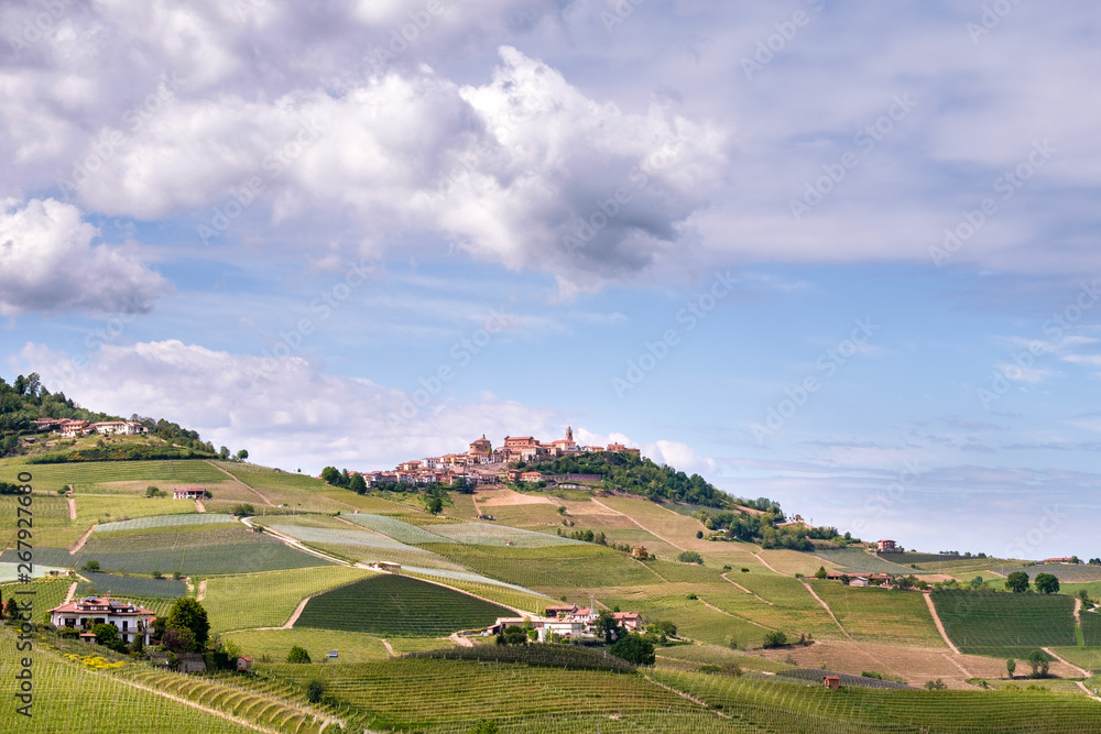 La Morra vineyards hills. Langhe, Piedmont, Italy, , Unesco heritage. Viticulture, Langhe, Piedmont, Italy, Unesco heritage. Barolo, Nebbiolo, Dolcetto, Barcaresco red wine.