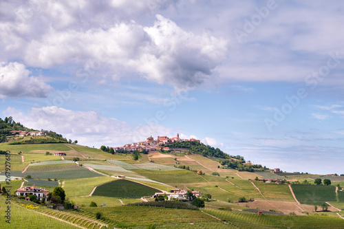 La Morra vineyards hills. Langhe, Piedmont, Italy, , Unesco heritage. Viticulture, Langhe, Piedmont, Italy, Unesco heritage. Barolo, Nebbiolo, Dolcetto, Barcaresco red wine. photo