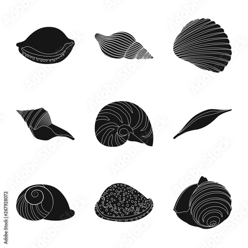 Vector illustration of nature  and ocean symbol. Collection of nature  and mollusk stock symbol for web. © Svitlana
