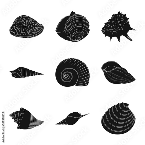 Vector design of nature  and ocean icon. Set of nature  and mollusk stock symbol for web.