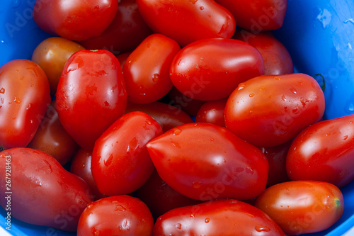 Fotografie Sicilian tomatoes typical Italian products