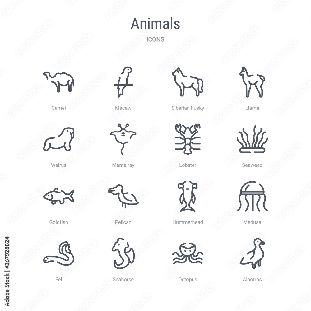 set of 16 animals concept vector line icons such as albotros, octopus, seahorse, eel, medusa, hummerhead, pelican, goldfish. 64x64 thin stroke icons