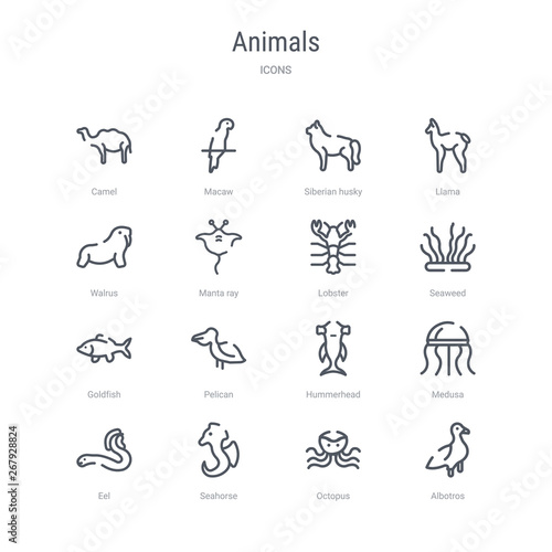 set of 16 animals concept vector line icons such as albotros  octopus  seahorse  eel  medusa  hummerhead  pelican  goldfish. 64x64 thin stroke icons