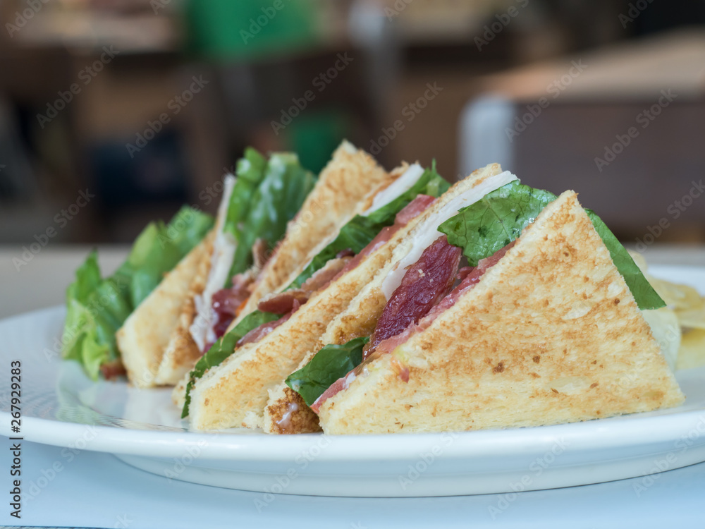 Sandwich ham bacon cheese on white plate Sandwich ham bacon cheese on white plate