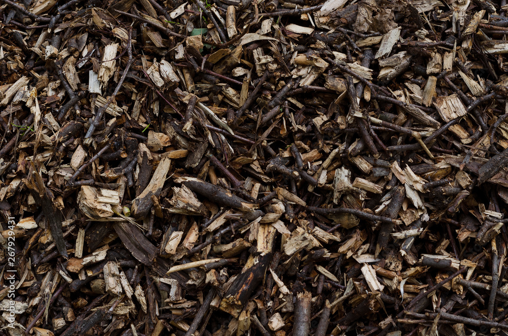 ground tree branches for fertilizer ground tree branches for fertilizer