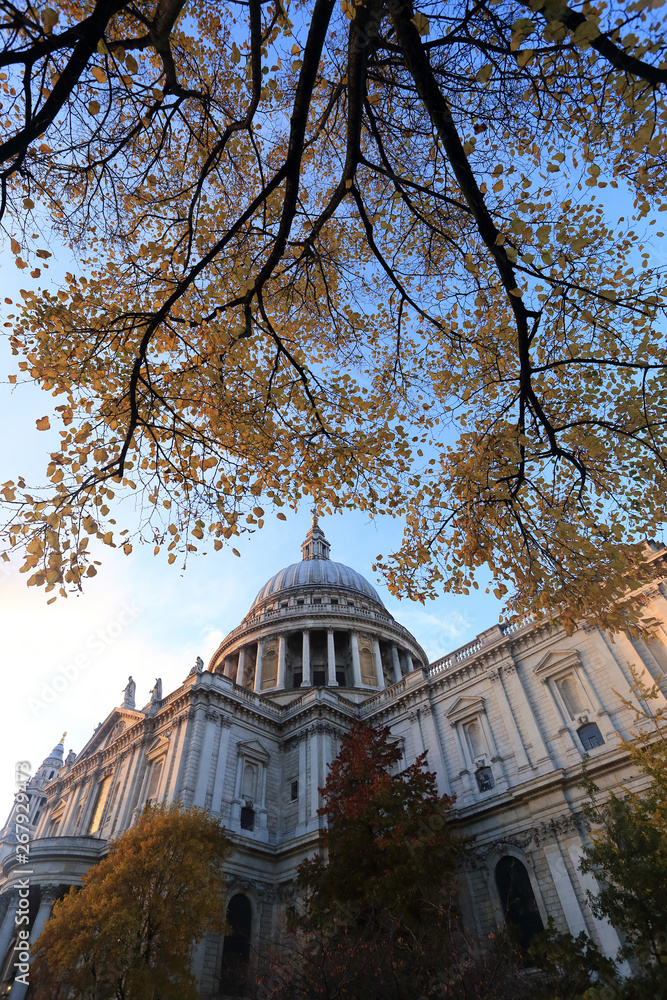 Saint Paul's Cathedral, one of the most famous and most recognisable sights of England, with autumn tree, London, United Kingdom.