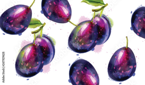 Plums fruits Vector watercolor pattern. delicious summer harvests