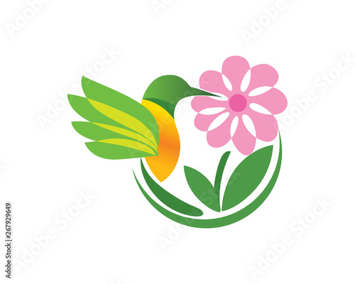 Beautiful Bird Finding Nectar in A Flower Logo In Isolated White Background