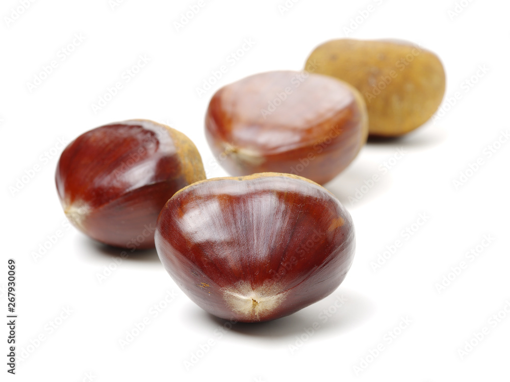 Sweet chestnut on white background Sweet chestnut on white background