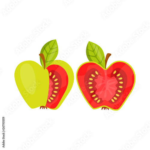 Vector illustration of tomato and apple logo. Collection of tomato and fruit vector icon for stock.