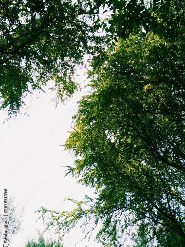 Processed with VSCO with c1 preset Processed with VSCO with c1 preset