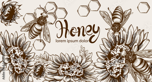 Honey, bees and sunflowers Vector line art card. Retro vintage old effect styles