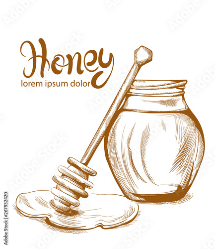 Honey jar Vector line art. Retro vintage old effect styles