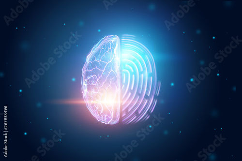 Half of the brain and fingerprint view from above. The concept of identity, unique data. 3D illustration, 3D render
