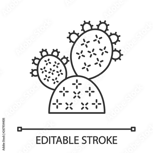 Prickly pear cactus linear icon