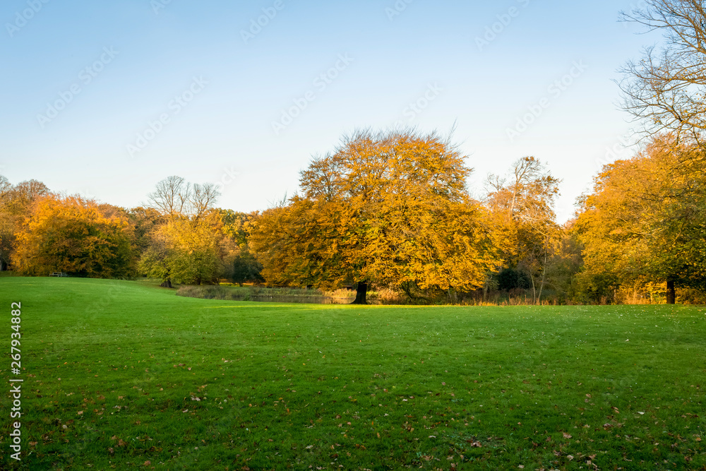 beautiful parks in autumn fall season
