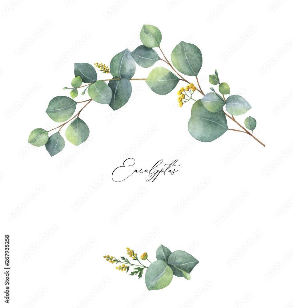 Watercolor vector wreath with green eucalyptus leaves and meadow plants ...