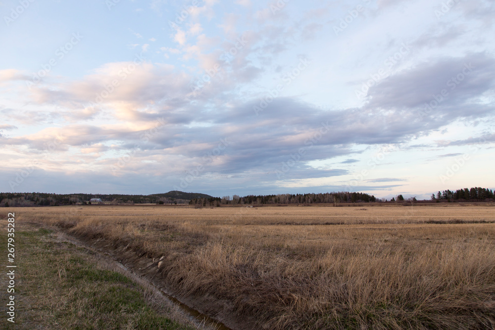 Drainage ditch in dry field and old barn with mixed trees forest seen in the distance during a beautiful spring evening, Cacouna, Quebec, Canada