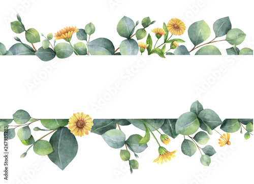 Watercolor vector card with green eucalyptus leaves and meadow plants.