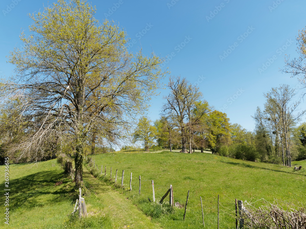 Paysage du Bourbonnais dans l'Allier. Vertes Prairies, collines et bocages de la montagne Bourbonnaise en région Auvergne-Rhônes-Alpes. Paysage du Bourbonnais dans l'Allier. Vertes Prairies, collines et bocages de la montagne Bourbonnaise en région Auvergne-Rhônes-Alpes.