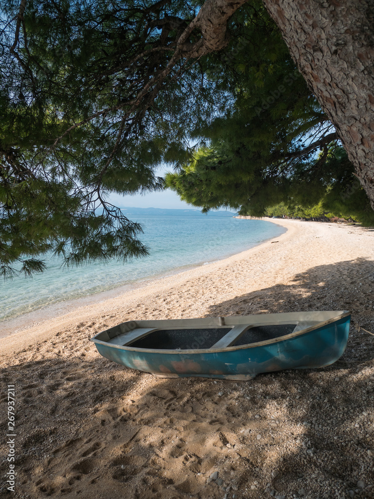 Small boat on beach under pine trees Small boat on beach under pine trees