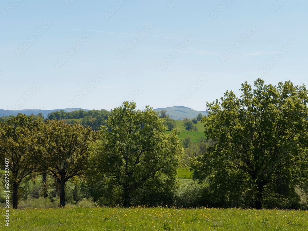 Paysage du Bourbonnais dans l'Allier. Vastes forêts et pâtures séparées par des haies autour de la montagne Bourbonnaise. Paysage du Bourbonnais dans l'Allier. Vastes forêts et pâtures séparées par des haies autour de la montagne Bourbonnaise.