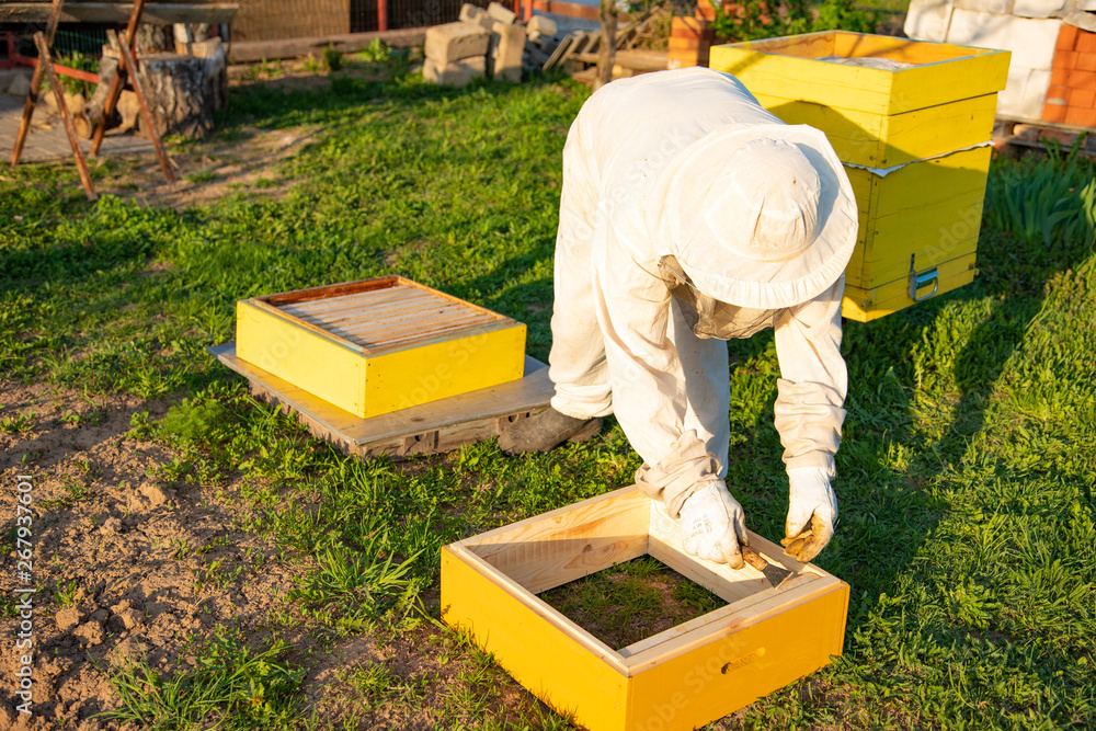 Beekeeper in a protective suit to work in the garden with hives Beekeeper in a protective suit to work in the garden with hives